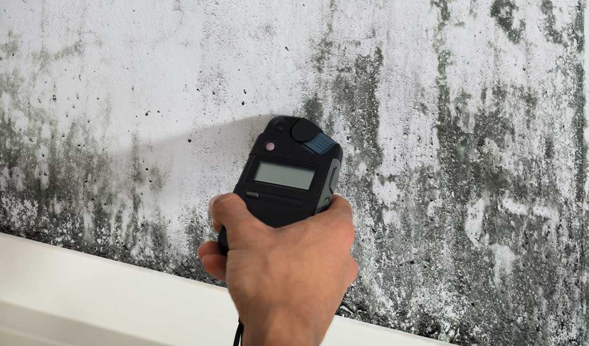 Need a Mold Inspection 