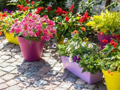 Custom Round Garden Pots