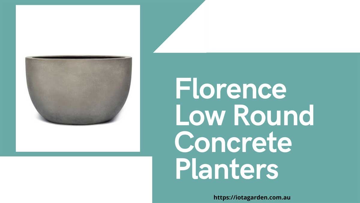 Florence-Low-Round-Concrete-Planters