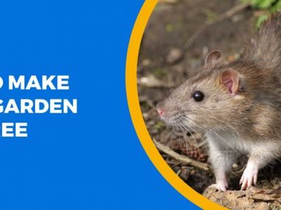 Tips To Make Your Garden Rat-Free