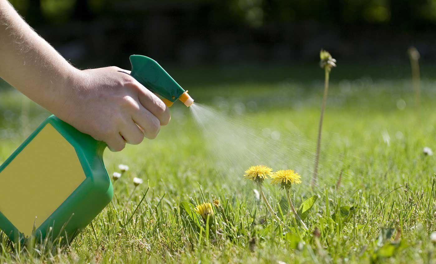 What Is The Best Weed Killer For Your Garden And Grass?