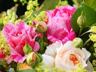 Beautiful and Romantic Summer Flowers