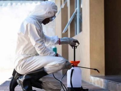 Hiring Bed Bug Exterminators