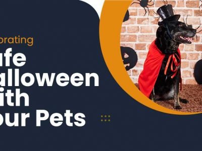 Celebrating-Safe-Halloween-With-Your-Pets