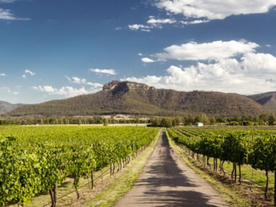 Discover the Tranquil Charm of Hunter Valley
