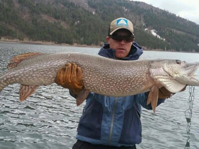Pike Fishing for Beginners