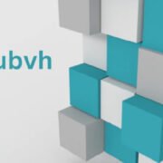 Unveiling the Power of Cubvh: A Journey Through Connectivity