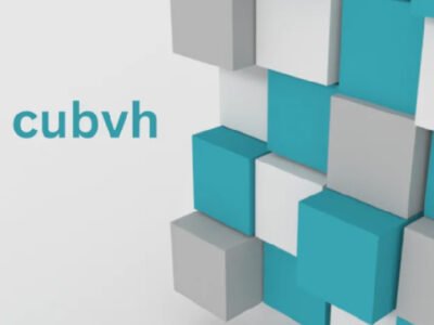 Unveiling the Power of Cubvh: A Journey Through Connectivity