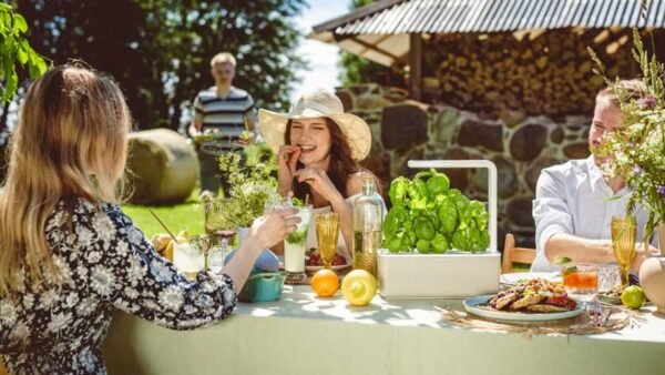 Essential Considerations When Hosting an Upscale Garden Party