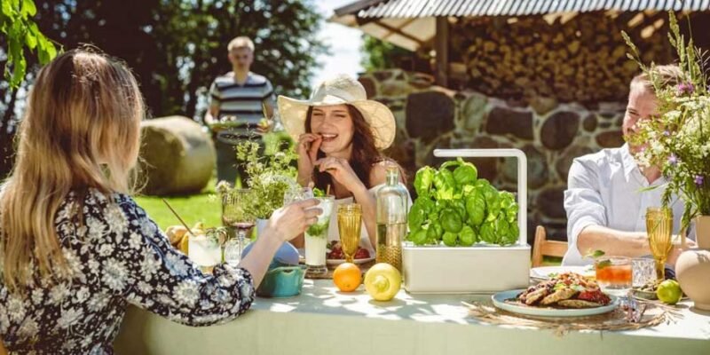 Essential Considerations When Hosting an Upscale Garden Party