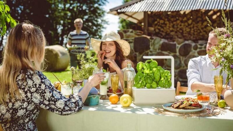 Essential Considerations When Hosting an Upscale Garden Party