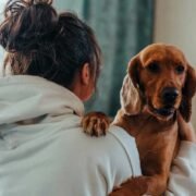 5 Key Areas of Dog Health You Shouldn’t Ignore