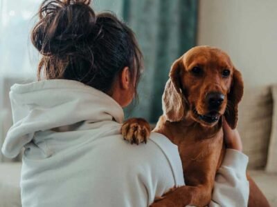 5 Key Areas of Dog Health You Shouldn’t Ignore