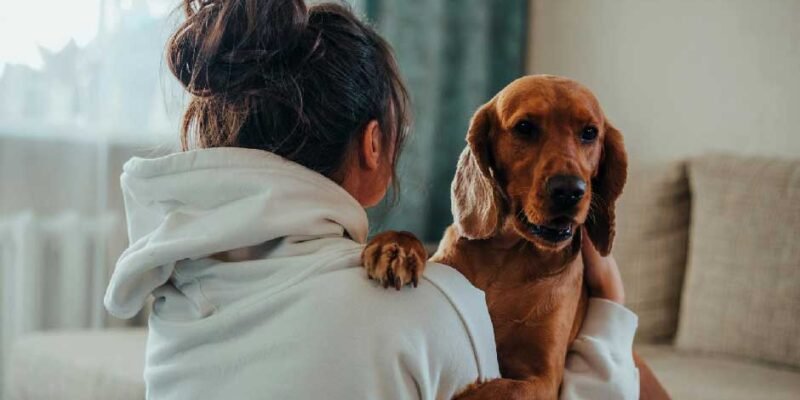 5 Key Areas of Dog Health You Shouldn’t Ignore